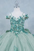 Girls 3D Beaded Applique A-line Off Shoulder Ball Gown 2-16
